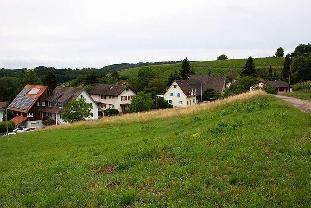 Der Mllheimer Rat stimmt fr Bebauungsplan in Feldberg