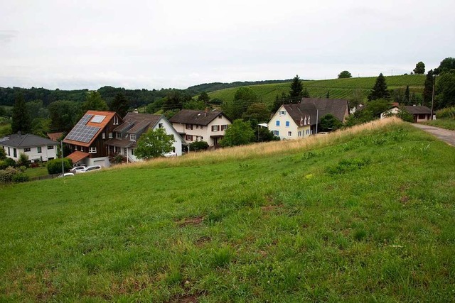 Vier Baugrundstcke entstehen am nordwestlichen Ortsrand von Feldberg.  | Foto: Volker Mnch