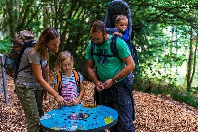 Bei Hchenschwand knnen Familien auf der Spur der Wlfe wandern