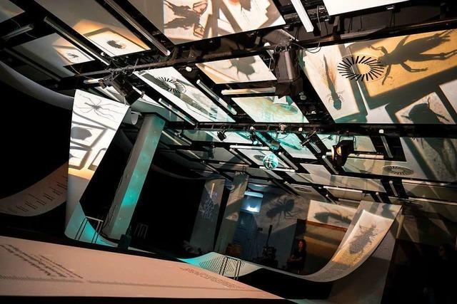 Literaturhaus Freiburg verwandelt sich ins Museum der Langsamkeit