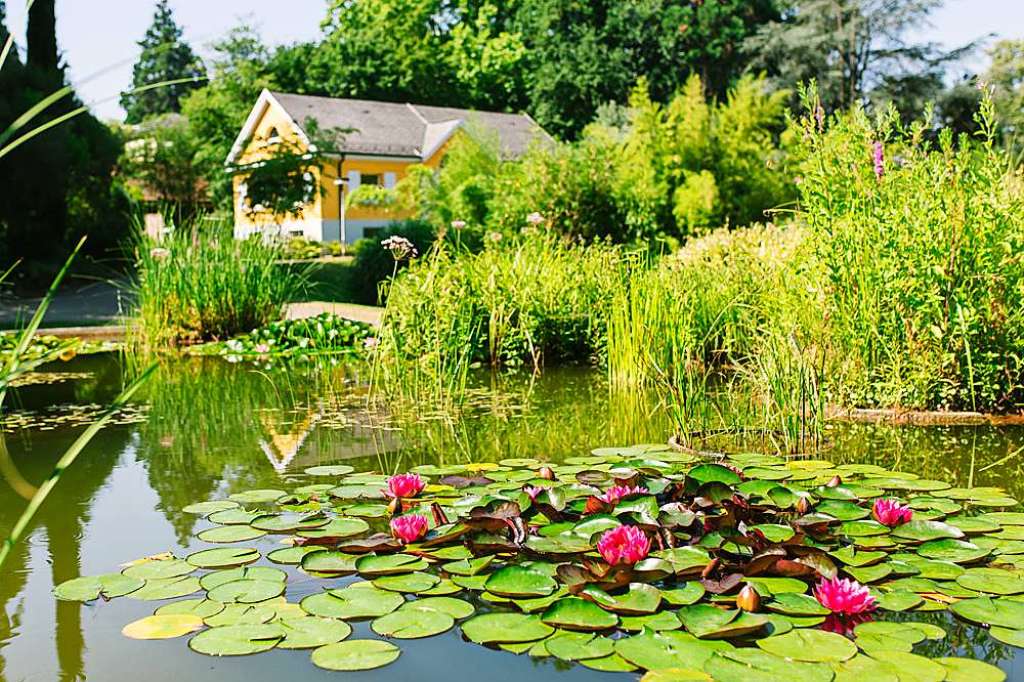 Warum Freiburgs Botanischer Garten noch geschlossen ...