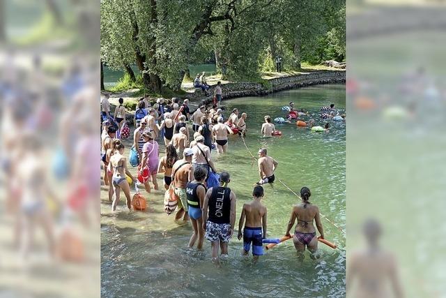 Rheinschwimmen findet statt