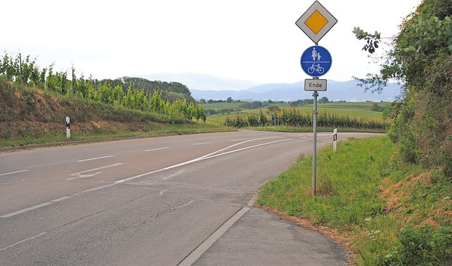 Mit dem Ausbau der Strae nach Walters...tel endende Radweg verlngert werden.   | Foto: Manfred Frietsch