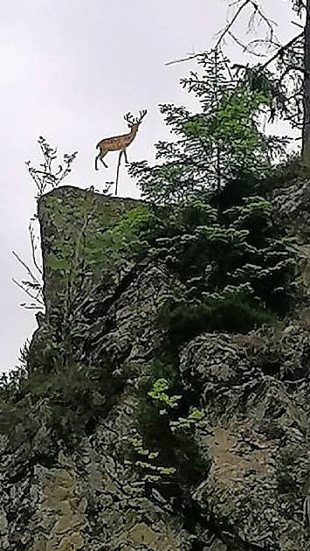 Keine Plastikfigur aber die  Silhouett...uf dem Felsen im Wehratal zu erkennen.  | Foto: Hans-Dieter Folles