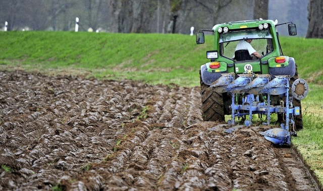 Auf den richtigen Zeitpunkt kommt es beim Pflgen an.   | Foto: Daniel Bockwoldt