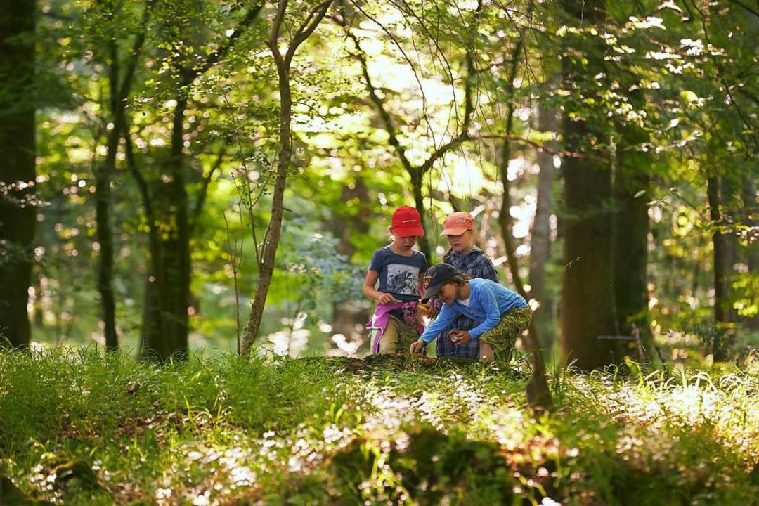 Gemeinsam Zeit in der Natur verbringen tut Kindern und Eltern gut.  | Foto: Thomas Frey