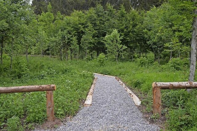 Erste Beisetzungen sollen bald mglich sein