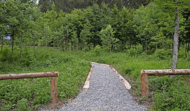 Im Ruhewald stehen 40 junge Bume fr ...in kleiner Weg fhrt auf das Gelnde.   | Foto: Christiane Sahli