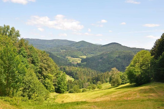 Das kleine Wiesental ist besonders fr Wanderer reizvoll.  | Foto: Daniel Gramespacher