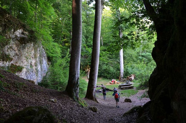 Zwischen Felsen und hohen Bumen: In der Wolfsschlucht  | Foto: Anita Fertl