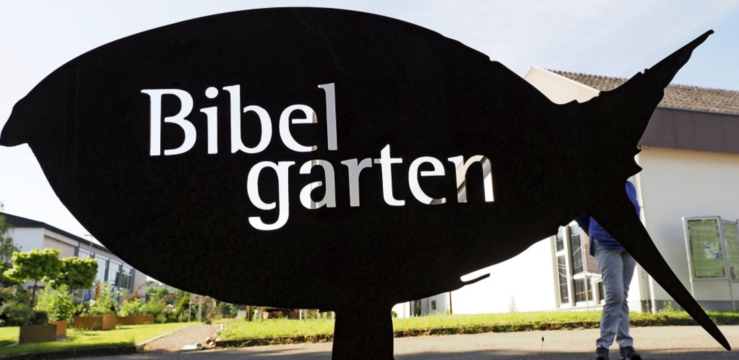 Rund 130 verschiedene Pflanzen, die in...len im Bibelgarten einen Platz finden.  | Foto: Michael Haberer