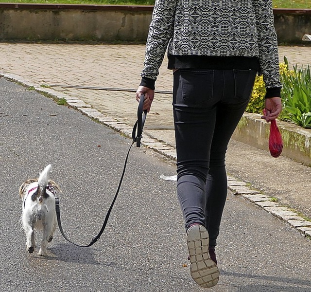 Fr die Neuregelung der Hundesteuer gibt es einen neuen Anlauf.  | Foto: Victoria Langelott