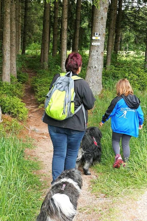 Auf schmalen Pfaden durch den Wald  | Foto: Eva Korinth