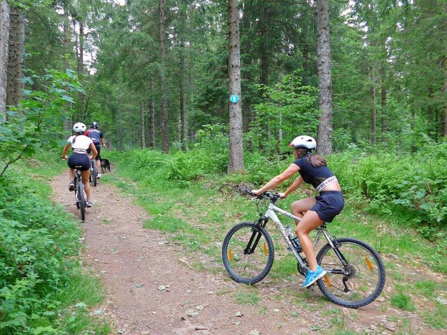 Wieden punktet mit mountainbiketauglichen Strecken bei Aktivurlaubern.  | Foto: Angelika Schmidt
