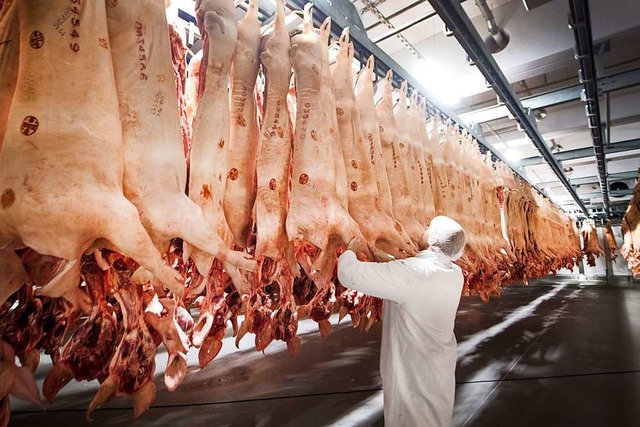 Frisch geschlachtete Schweine hngen i...v auf das Coronavirus getestet worden.  | Foto: Bernd Thissen (dpa)