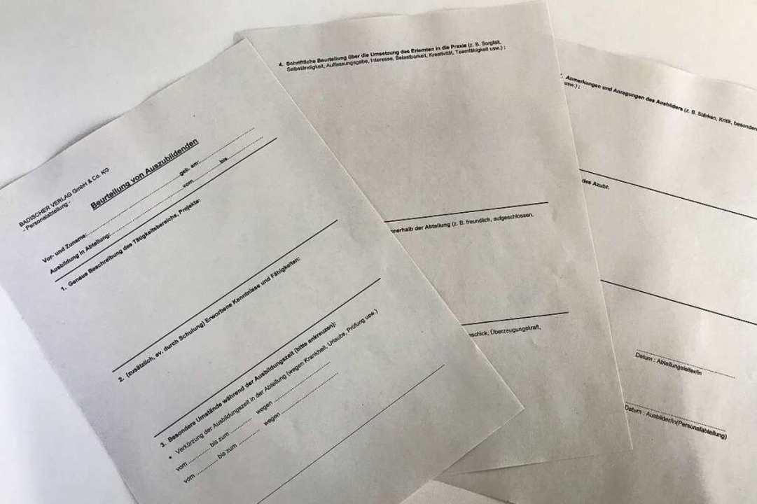 Der Beurteilungsbogen, welcher fr jed...n aus den Abteilungen ausgefllt wird.  | Foto: Angelina K.