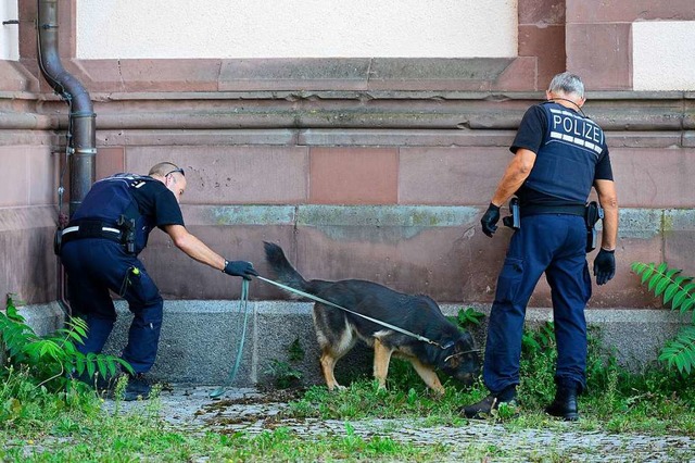 Eine Erhebung deutet darauf hin, dass ...nicht massiv bedroht ist (Archivbild).  | Foto: Ingo Schneider