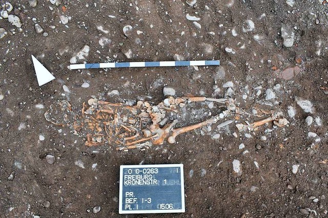 Archologen haben auf der Baustelle an...rae menschliche Skelette  freigelegt.  | Foto: Archaeo Task