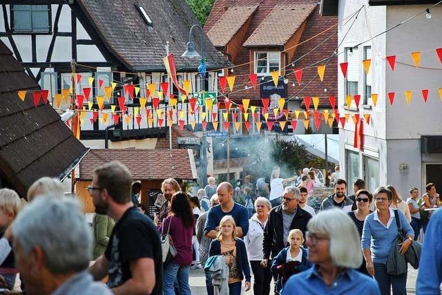 Pfaffenweiler rechnet mit drastischem Einbruch bei Einkommenssteuer