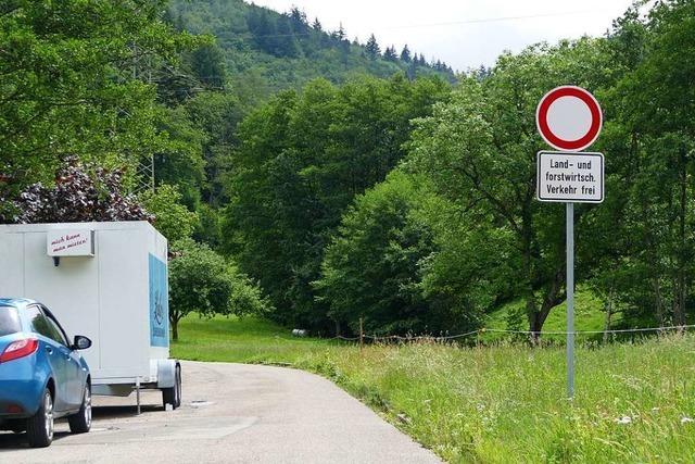 Zu viele fahren mit dem Auto zum Zeller Wildgehege