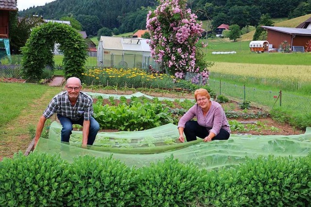 Klaus und Jutta Moser in ihrem Garten ...Jahren verkaufen sie ihre Erzeugnisse.  | Foto: Theodor Weber