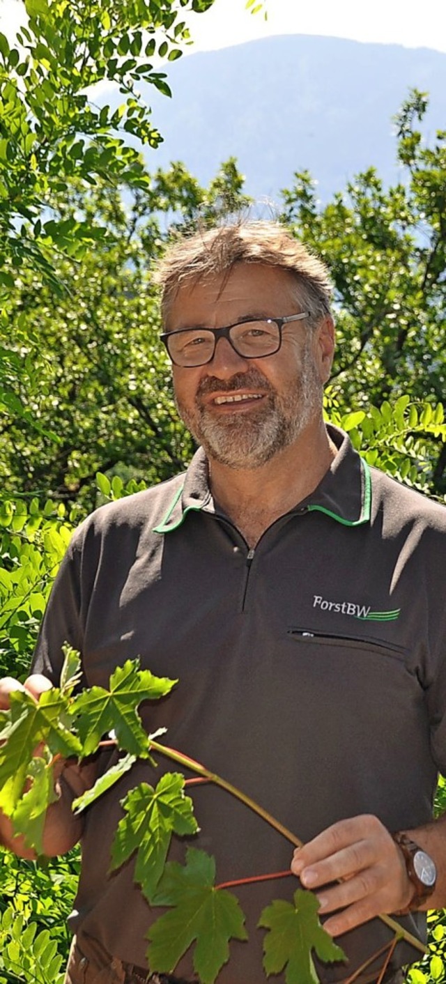 Forstdirektor Herbert Stiefvater geht am 30. Juni in den Ruhestand.   | Foto: Rainer Ruther