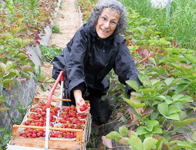 40 Pfund Erdbeeren pro Stunde &#8211; ...affte auch Regine Ounas-Krusel nicht.  | Foto: Regine Ounas-Krusel