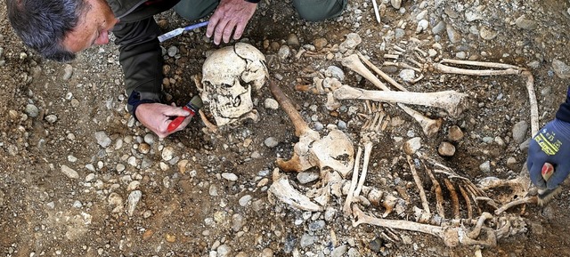 Archologe  Jrgen Hald untersucht  ein  Skelett.   | Foto: Felix Kstle (dpa)