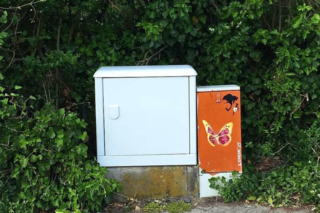 In der Graffiti-Szene gibt es eine Art...erer Sprayer werden nicht verschandelt  | Foto: privat
