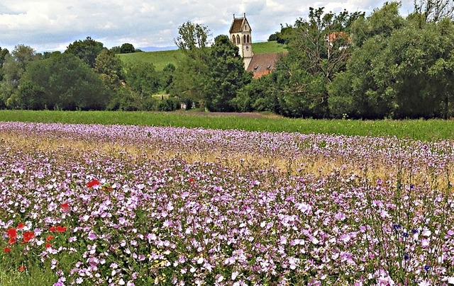   | Foto: Gerhard Delvendahl