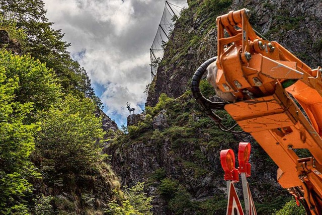 Am Hirschsprung wird ein Fangnetz fr Fels und Gerll installiert.  | Foto: Hubert Gemmert