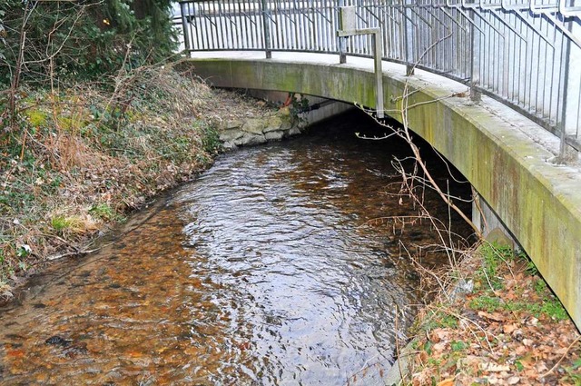 Maximal neun Kubikmeter Wasser drfen ...n Merzhausen in der Sekunde passieren.  | Foto: Julius Wilhelm Steckmeister