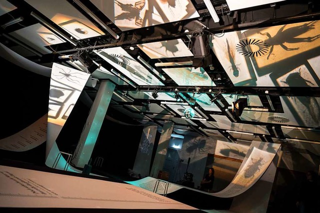 30 Meter lange Papierbahnen sind ber den Raum im Literaturhaus gespannt  | Foto: Marc Doradzillo
