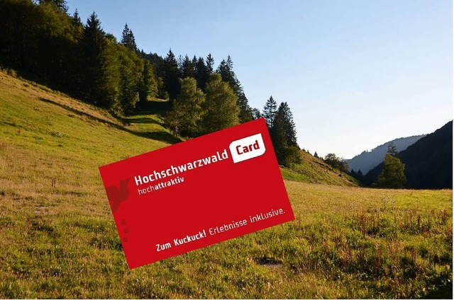 Kreisrte fordern Landrtin Dorothea S...die Hochschwarzwald-Card einzugreifen.  | Foto: Sarah Trinler