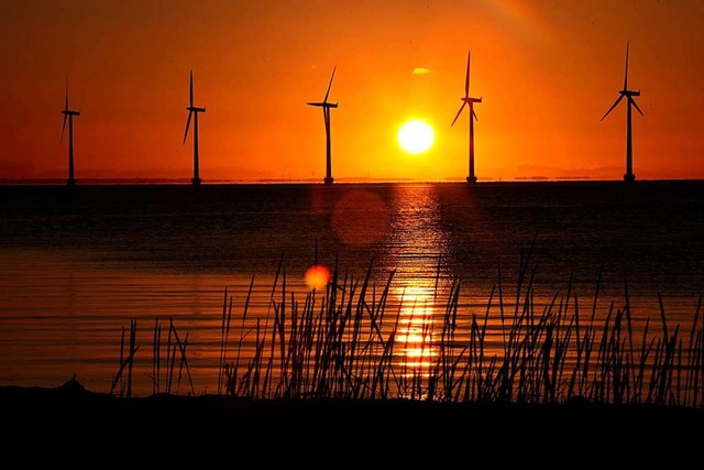 Windrder im Sonnenaufgang  | Foto: Steffen Trumpf (dpa)