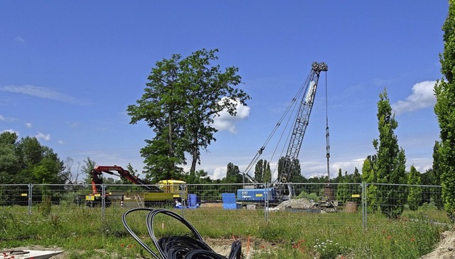 Stck fr Stck wird das LGS-Gelnde e...n in Zukunft die Rheingrten versorgt.  | Foto: LGS Neuenburg