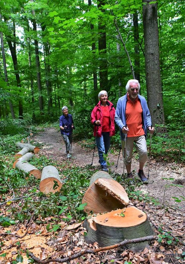 Um den Waldweg nach Rmmingen fr Radf... vieler Wanderer nun wieder beseitigt.  | Foto: Horst Donner