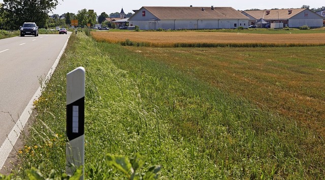 Im Norden von Sasbach soll weitere Gew...ne direkte Anbindung an die L 104 ab.   | Foto: Martin Wendel