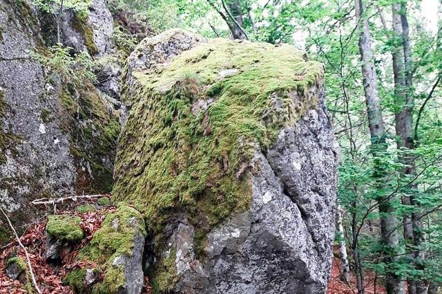 Die Felssicherung bei Todtnau-Prg ist beendet