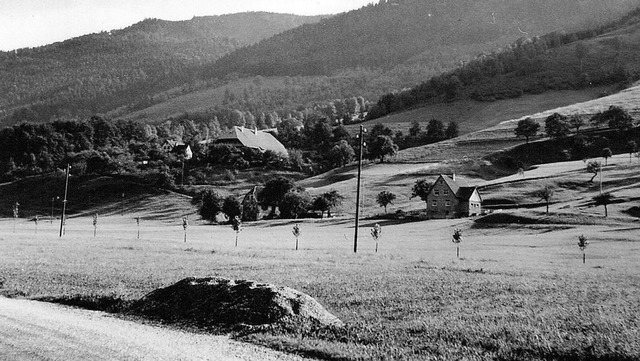 Der Farnhof links und der Mattenhof z...urde beim Farnhof ein Kind ausgesetzt.  | Foto: Archiv Hans-Jrgen Wehrle