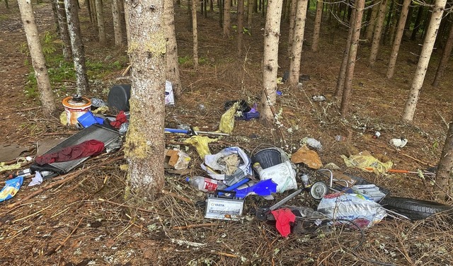 Mll im Wald? Dieser Anblick rgerte v...n Waldspaziergnger in Hchenschwand.   | Foto: Cornelia Liebwein