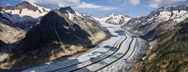   | Foto: Christian Sommer (dpa)