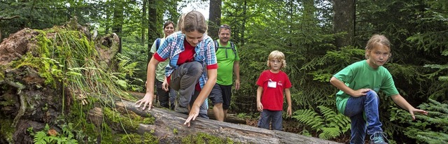   | Foto: Nationalpark Schwarzwald