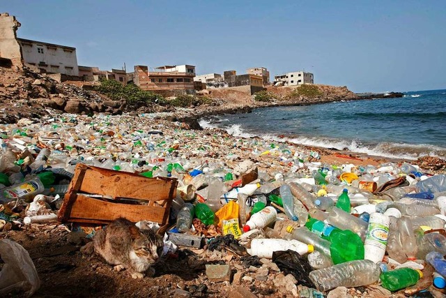 Von Plastikmll berst ist dieser Atlantikstrand im Senegal.  | Foto: Nic Bothma