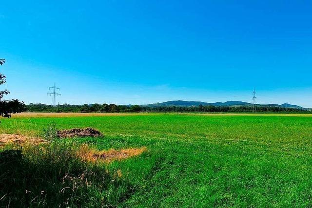 Grnes Licht fr Solarenergie-Testfeld in Merdingen