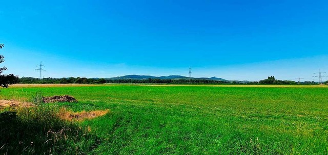 Auf dieser knapp 4,5 Hektar groen Wie...larenergie-Testfeld  errichtet werden.  | Foto: Julius Wilhelm Steckmeister