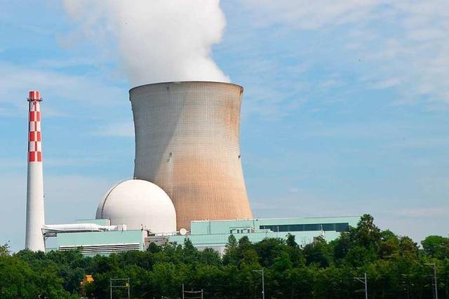 Atomkraftwerk Leibstadt geht fr sechs Wochen vom Netz