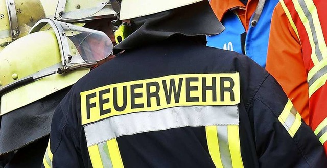 Am Sonntag musste die Marcher Feuerweh...ner brennenden Splmaschine ausrcken.  | Foto: Holger Hollemann (dpa)