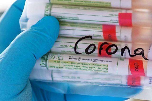 8895 negative Corona-Tests liegen dem Lörracher Landratsamt vor