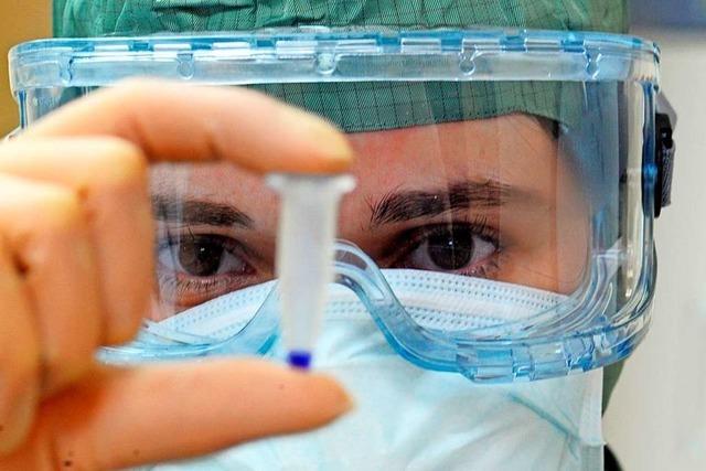 Neue Art der Schweinegrippe mit Pandemie-Potenzial in China entdeckt